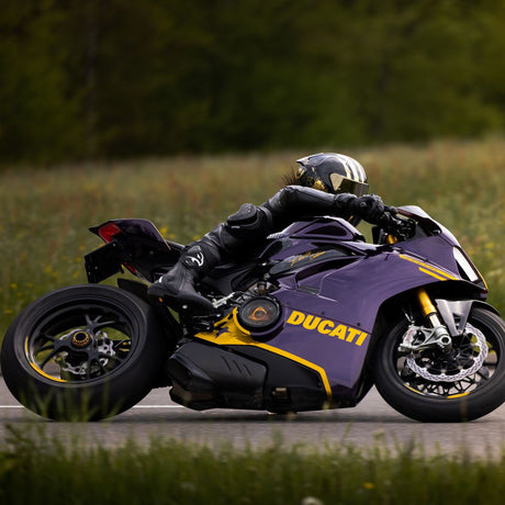 מגף רכיבה ספורט Elite GP מבית Falco שחור - Falco